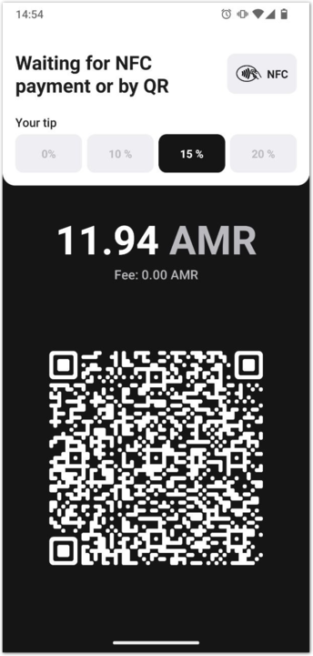 Ammer Pay QR payment