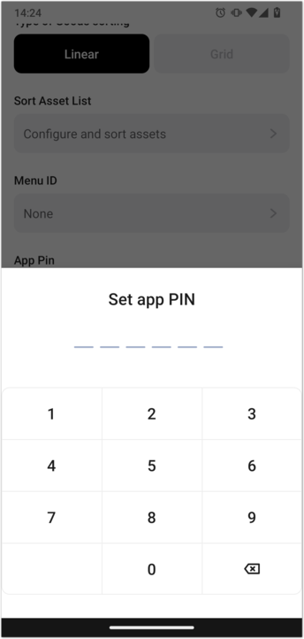 Ammer Pay set app Pin