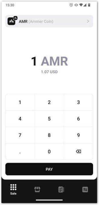 Ammer Pay simple sale screen with amount